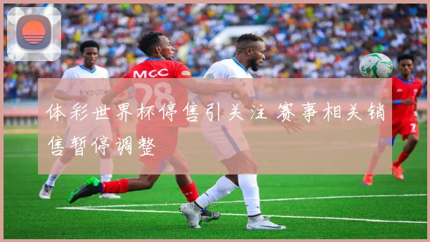 体彩世界杯停售引关注 赛事相关销售暂停调整