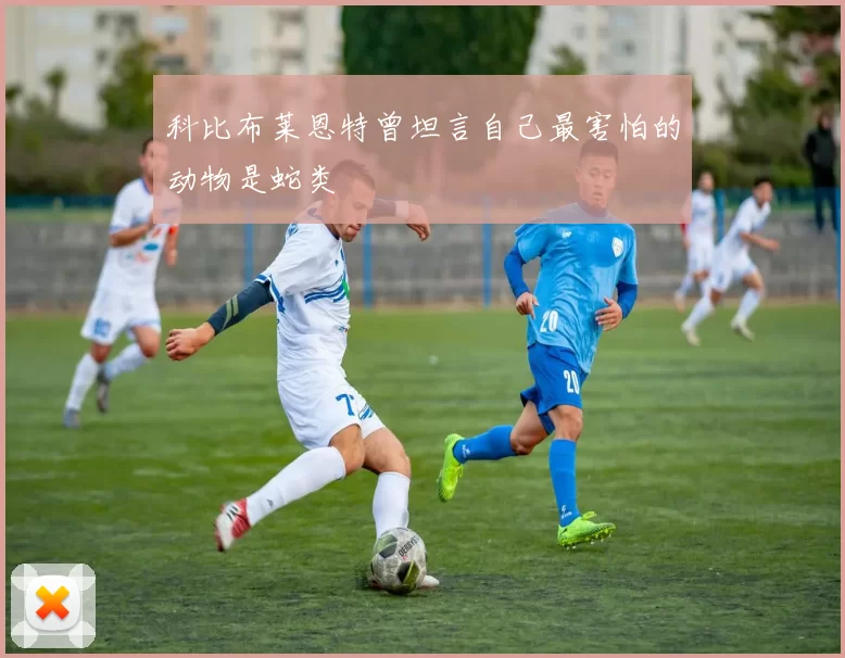 科比布莱恩特曾坦言自己最害怕的动物是蛇类