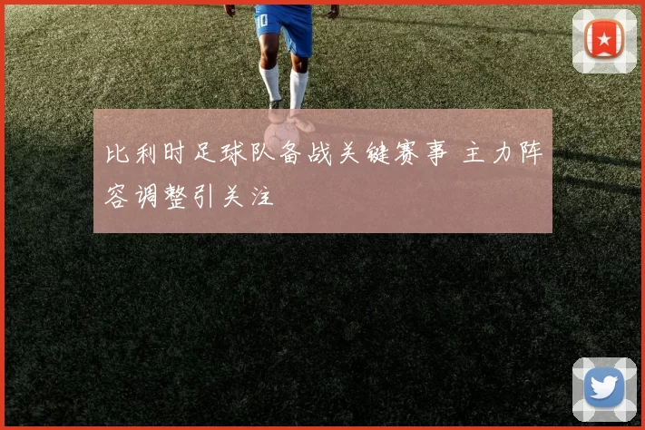 比利时足球队备战关键赛事 主力阵容调整引关注